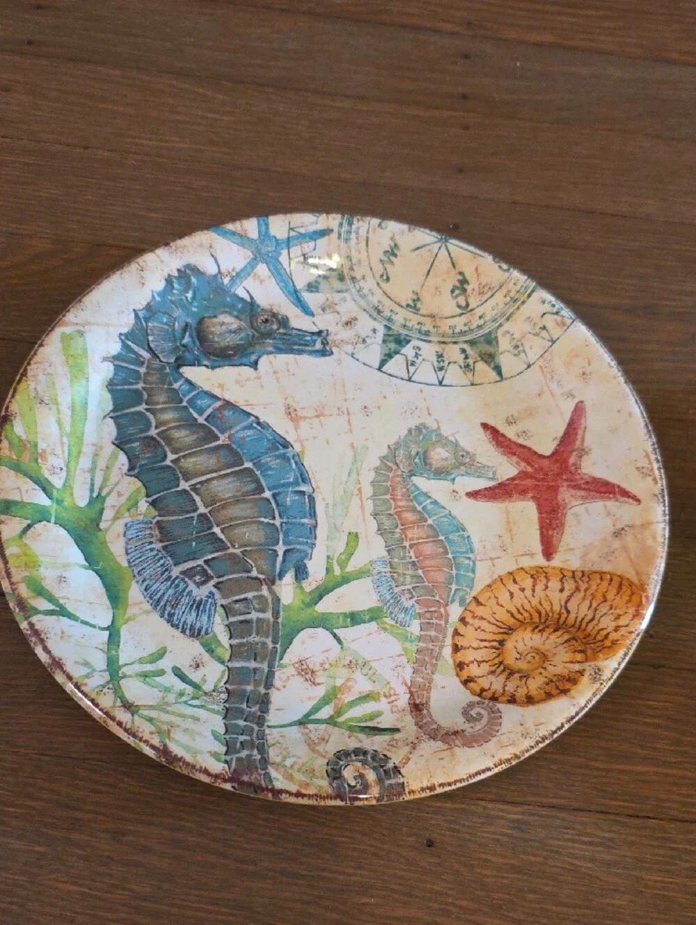 Pier 1 Coastal Speedy The Turtle & Spikey The Seahorse Malamine Plates 9